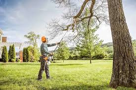 Best Lawn Maintenance Plans  in Lubeck, WV